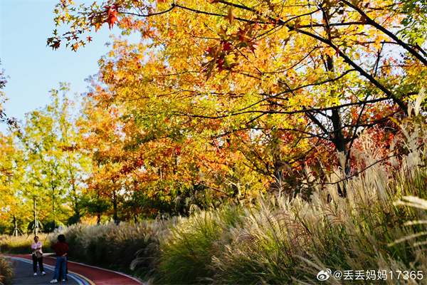【圖說淮南】&mdash;&mdash;秋色正濃