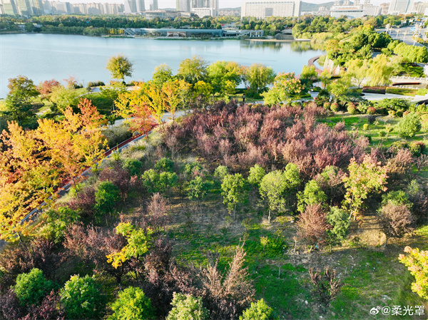 【圖說淮南】&mdash;&mdash;紅葉醉秋色