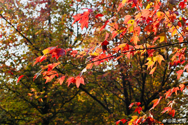 【圖說淮南】&mdash;&mdash;五顏六色