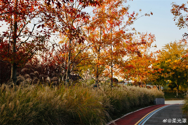 【圖說淮南】&mdash;&mdash;未盡秋色 