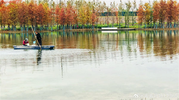 【圖說淮南】&mdash;&mdash;春申湖之美