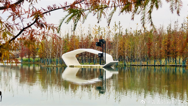 【圖說淮南】&mdash;&mdash;春申湖冬景  ???