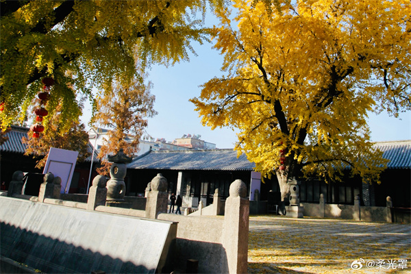 【圖說淮南】&mdash;&mdash;滿地翻黃銀杏葉  