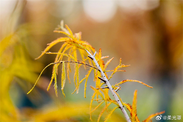 【圖說淮南】&mdash;&mdash;冬天的樣子