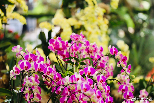 【圖說淮南】&mdash;&mdash;春的腳步  