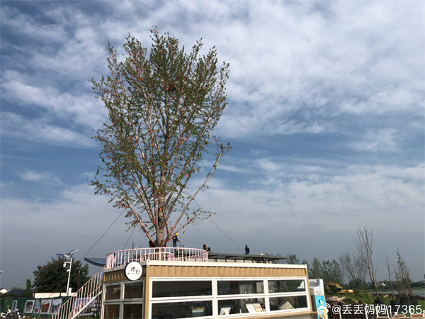【圖說淮南】——微風(fēng)拂過