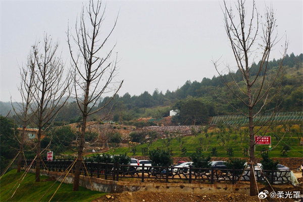 【圖說淮南】——秋霧蒙蒙