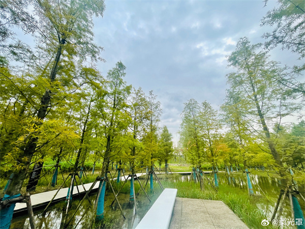 【圖說淮南】——秋色宜人 