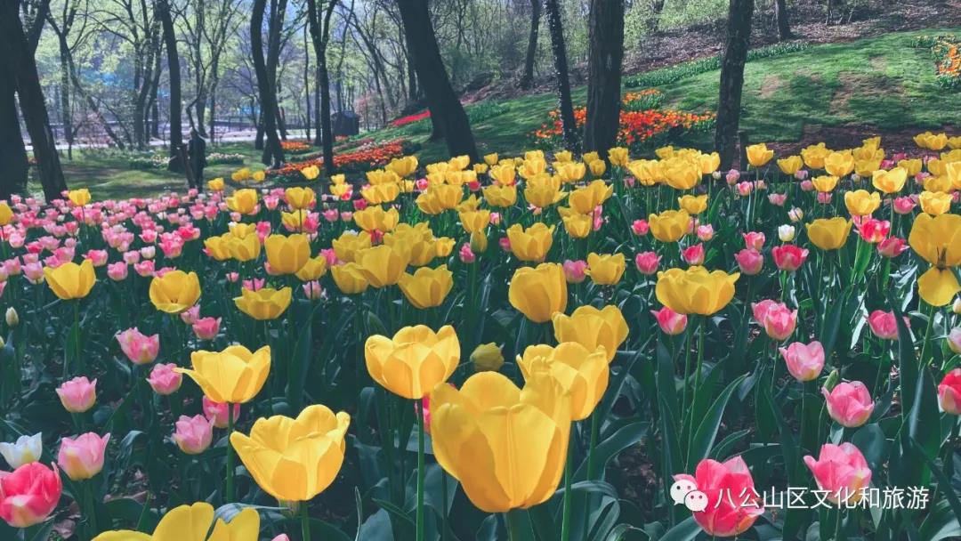 目之所及，每一幅畫卷，都溫柔繾綣